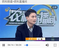 怎么保證長毛兔冬季的繁殖工作呢？