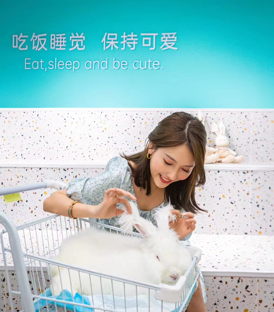 養(yǎng)100只長(zhǎng)毛兔一年利潤(rùn)有多少？