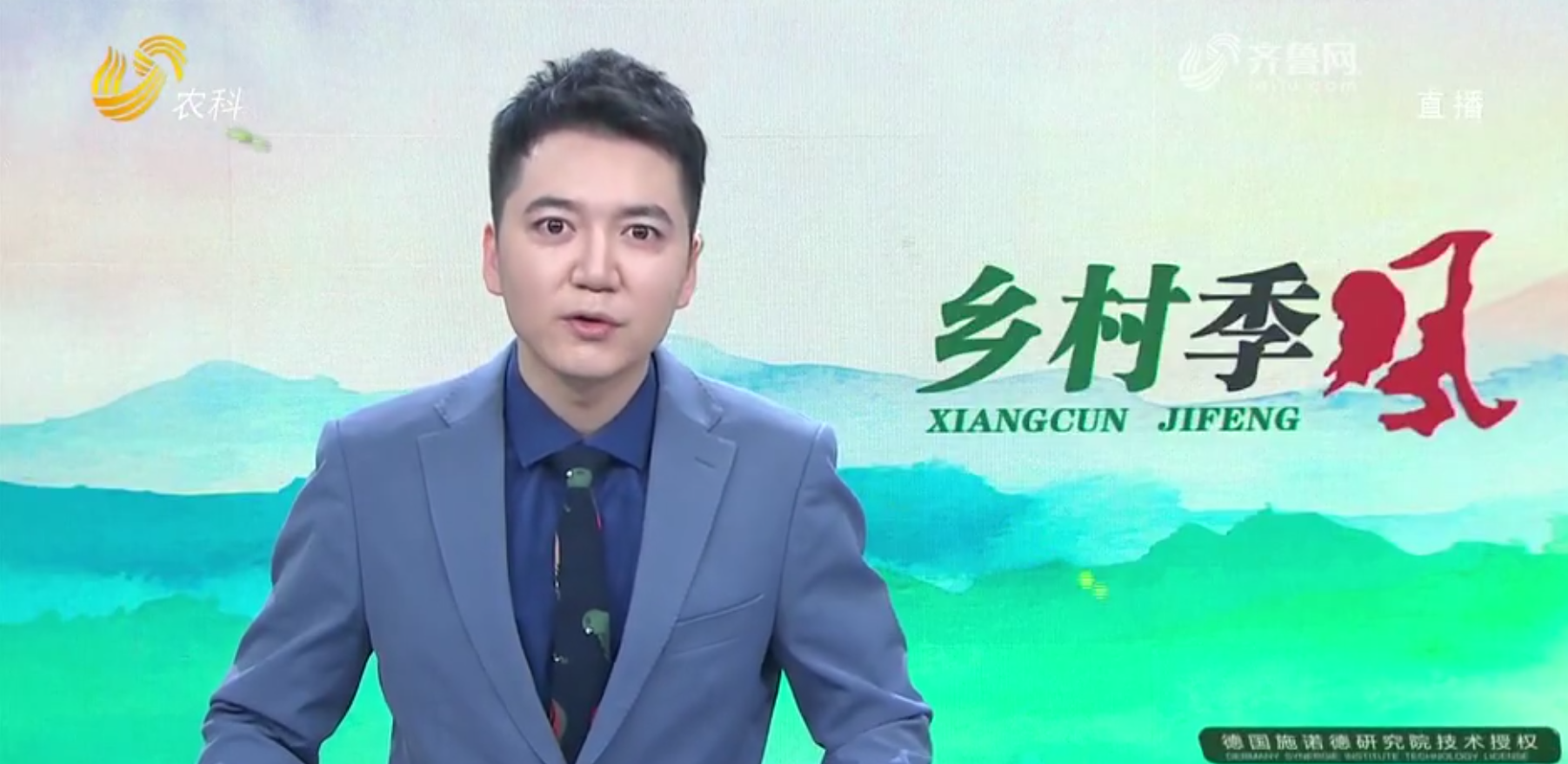 沂蒙長毛兔 可愛又實(shí)用