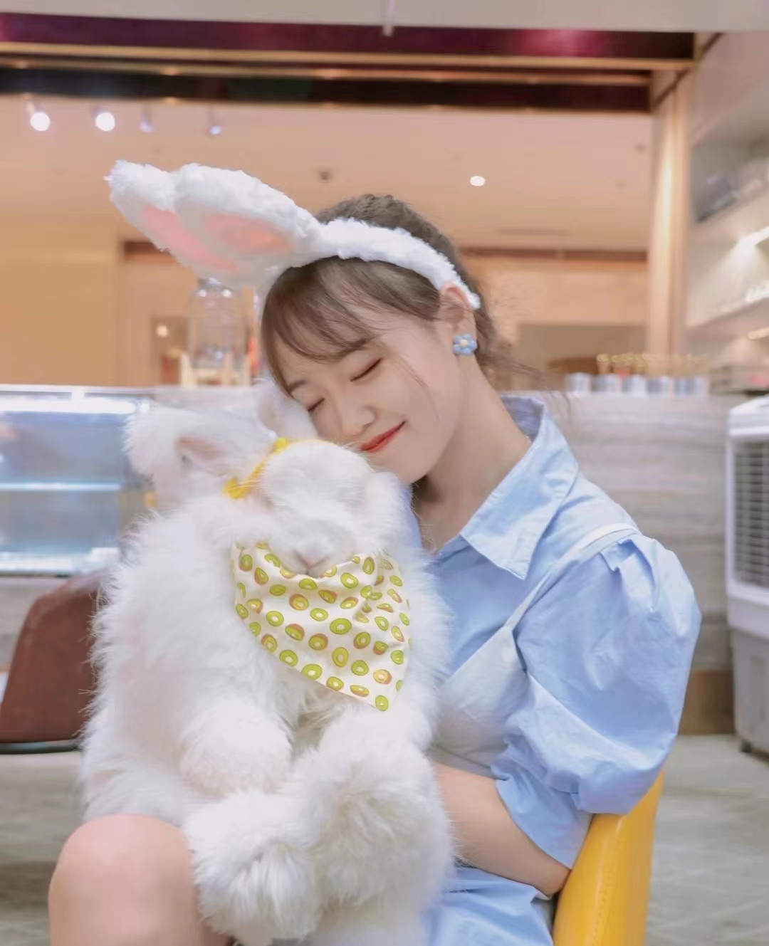 小長毛兔糞便排不出來怎么辦？