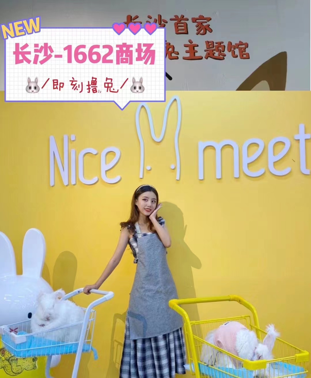 如何避免長毛兔品種退化？