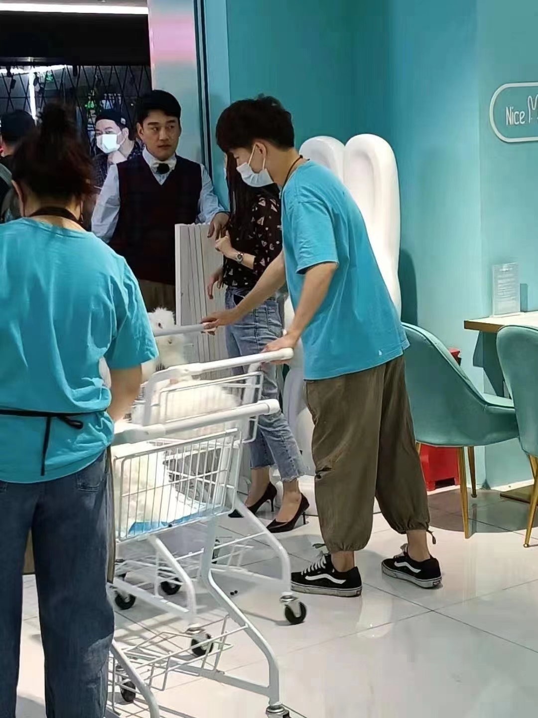 長毛兔從出生到出欄的注意事項(xiàng)：兔寶寶成長全攻略